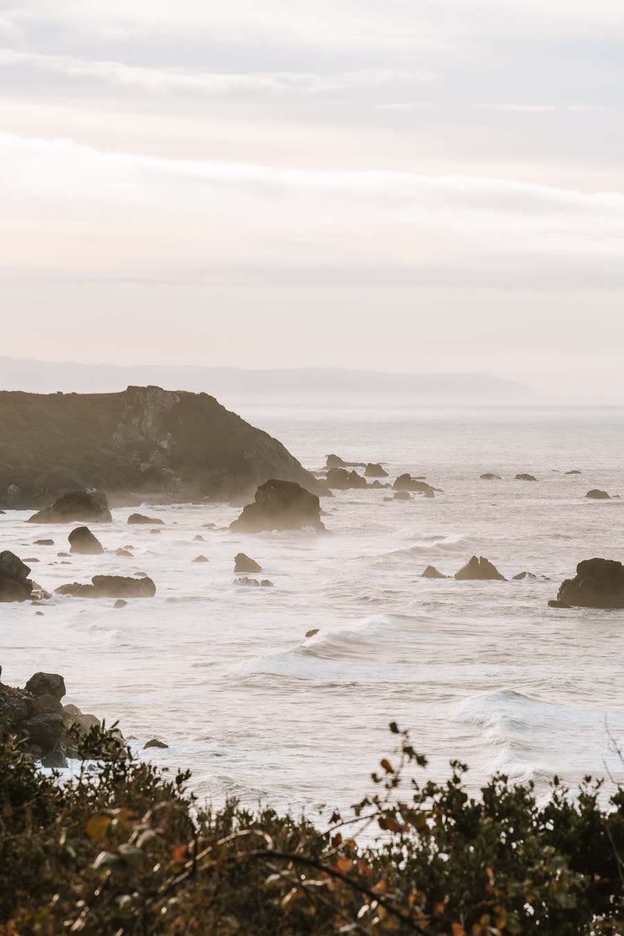 Del Norte Coast Redwoods State Park, Northern California